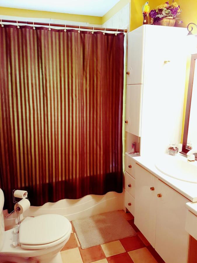 Gite Le Tresor Cache Bed & Breakfast Chelsea Exterior photo